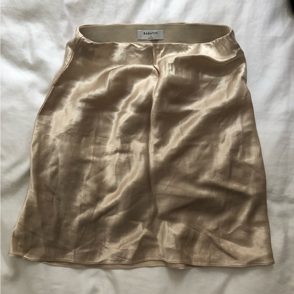 Babaton Slip Mini Skirt